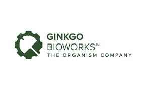 gingko